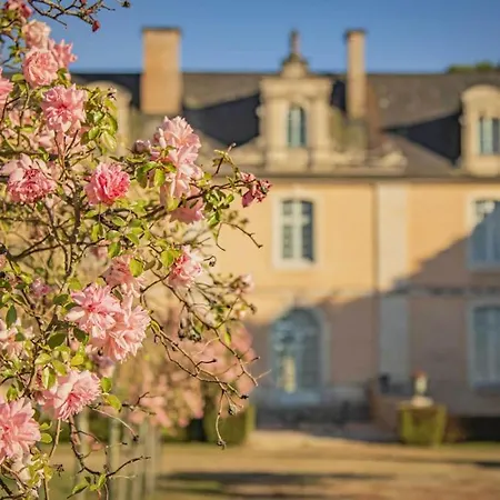 Chateau D'ardenay Sur Merize