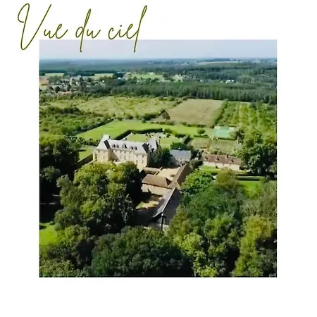 Villa Chateau D'ardenay Sur Merize *