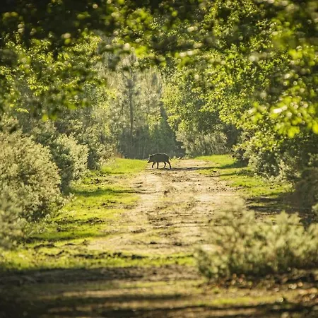 Chateau D'ardenay Sur Merize Villa Ardenay-sur-Merize