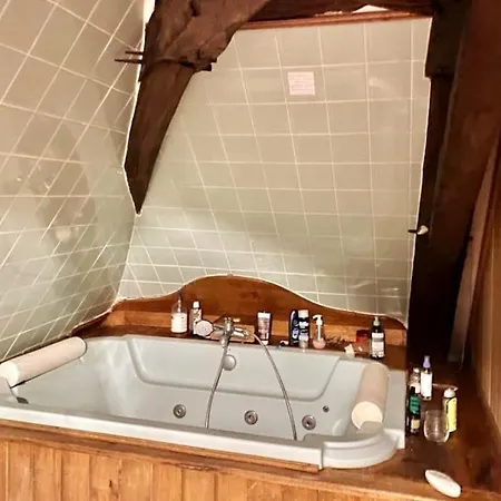 Chateau D'ardenay Sur Merize Villa *