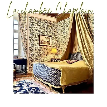 Chateau D'ardenay Sur Merize * Ardenay-sur-Merize