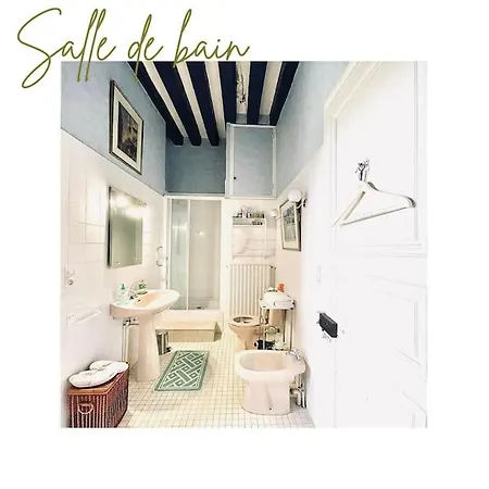 Chateau D'ardenay Sur Merize * Ardenay-sur-Merize