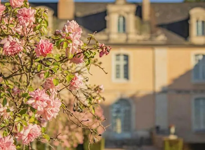 Chateau D'ardenay Sur Merize