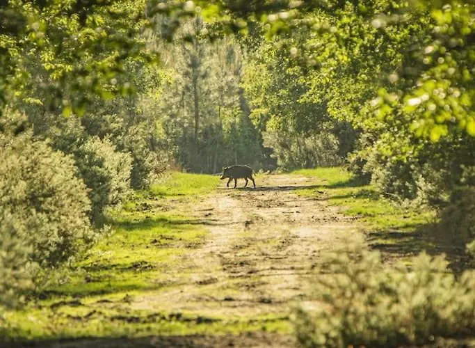 Chateau D'ardenay Sur Merize Villa Ardenay-sur-Merize
