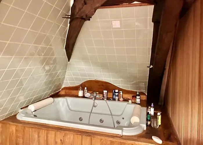 Chateau D'ardenay Sur Merize Villa *